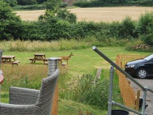Un ciervo corriendo en la hierba de un patio. en The Carpenters Arms, en Newbury