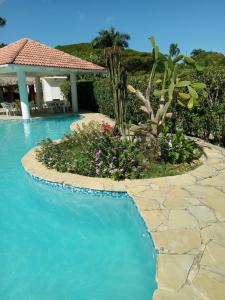 a swimming pool with a cactus and a house at Tropical Optimal Tropicana Sur in Sosúa