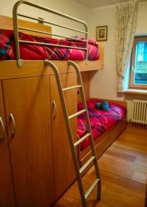 a bunk bed with a ladder in a room at Appartamento Daniela Dolomiti. in Auronzo di Cadore