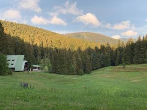ein Feld mit einem Haus mitten im Wald in der Unterkunft Natur pur im Nationalpark Schwarzwald in Weier