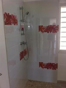 baño con cabina de ducha y flores rojas en la pared en Villa QUIETUDE, en Sainte-Anne