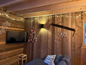 Telewizja i/lub zestaw kina domowego w obiekcie Chalet L'Ôbresse