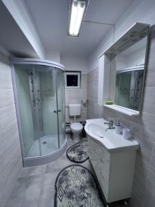a bathroom with a sink and a shower and a toilet at Traveler’s Luxury Home in Suceava