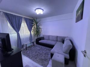 a living room with a couch and a tv at Traveler’s Luxury Home in Suceava