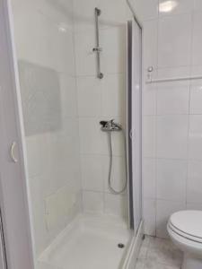 La salle de bains blanche est pourvue d'une douche et de toilettes. dans l'établissement Barbara Home, à Madalena do Mar