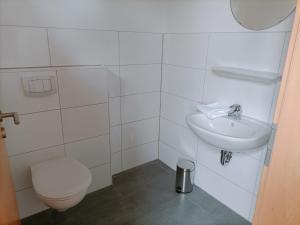 パーペンブルクにあるApartmentsのトイレと洗面台付きのバスルーム