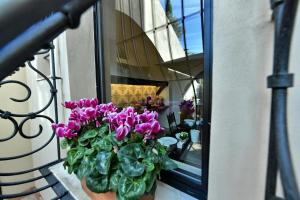 Сад в In Costa Relais & Luxury Suites