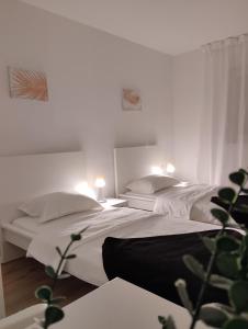 twee bedden in een kamer met witte muren en een plant bij MARIJA APARTMAN in Osijek