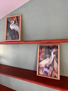 three framed pictures of birds on a wall at Casa Almonte in Almonte