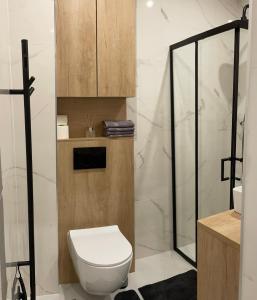 uma casa de banho com um WC e um chuveiro em Green Side Studio em Michalovce