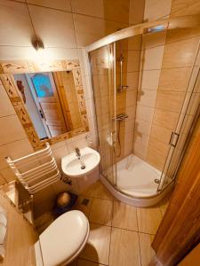 uma casa de banho com um chuveiro, um WC e um lavatório. em Bacówka Na Bundówkach em Zakopane