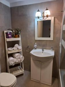 een badkamer met een wastafel, een toilet en een spiegel bij Paseo Victorica - Vista al Río in Tigre