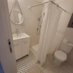a bathroom with a toilet and a sink and a mirror at וילה ברמה in Beit Shemesh