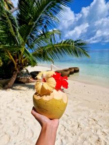 a person holding a coconut with a flower on the beach at Alimas Holiday Retreat Maldives in Felidhoo