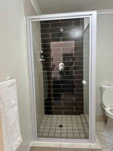 a glass shower in a bathroom with a toilet at Cozy Rondebosch Apartment in Cape Town