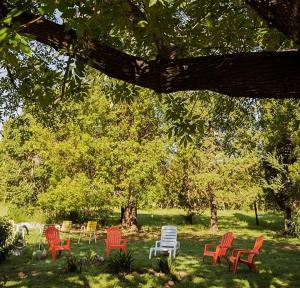 a group of colorful chairs sitting in the grass at Alma Alquimia in Valle Hermoso