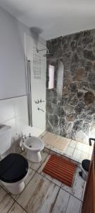 a bathroom with a shower and a toilet and a sink at Las Piedritas Cafayate in Cafayate