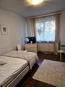1 dormitorio con 1 cama, TV y ventana en Great Apart Kabaty, en Varsovia