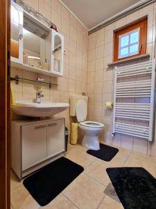 a bathroom with a sink and a toilet at Apartma ANAYA in Bovec