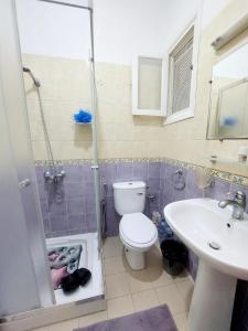 a bathroom with a shower and a toilet and a sink at Appartement S1 Jardins l aouina in Tunis