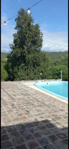 a swimming pool with a stone patio and a tree at El Inti in San Fernando del Valle de Catamarca