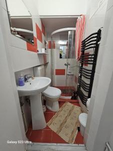 a bathroom with a sink and a toilet and a shower at Apartament Simon Brasov in Braşov