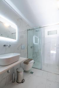 ein Bad mit einer Dusche, einem Waschbecken und einem WC in der Unterkunft Vivi's Apartments in Ayia Evfimia