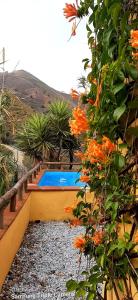a swimming pool next to a bush with orange flowers at Adobe Getaway with 'private plunge pool' in Viñuela