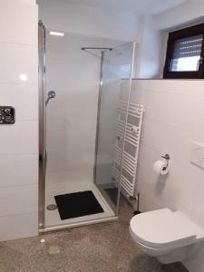 a bathroom with a shower and a toilet at Wohnung in Greven in Greven