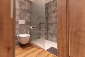Navis的住宿－Feiserhof Navis - Appartements，一间带卫生间和玻璃淋浴间的浴室