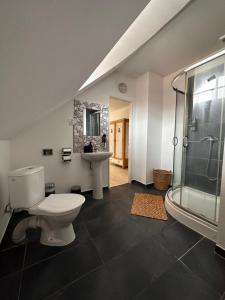 een badkamer met een toilet, een wastafel en een douche bij Penzion Na Zelnicách in Ratíškovice