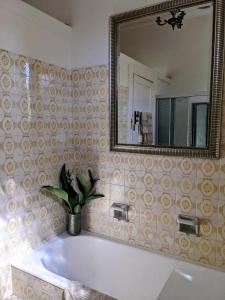 baño con bañera con espejo y planta en Paris's Place, en Griffith