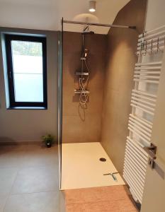 a shower with a glass door in a bathroom at Fredhousedurbuy 2 in Durbuy