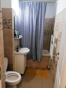 a bathroom with a toilet and a sink and a shower at Munteniei - The Sunset Studio in Hunedoara +16 photos