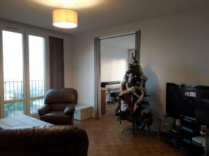 Sala de estar con árbol de Navidad y TV en T4/5 avec vue sur les Alpes à 5 minutes de Lyon, en La Mulatière