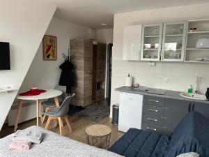 Kuchyň nebo kuchyňský kout v ubytování LORD apartman
