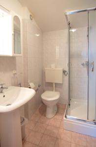 W łazience znajduje się toaleta, umywalka i prysznic. w obiekcie Apartments Grzin w mieście Mošćenička Draga