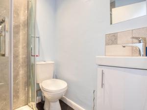 a bathroom with a toilet and a sink and a shower at Lovely 2-Bed Apartment Colyton, nr. Jurassic Coast in Colyton