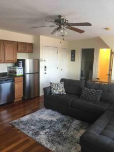 a living room with a couch and a kitchen at Lovely one bedroom with free parking in Schenectady