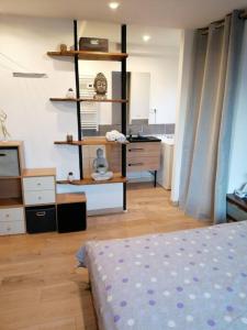 Cet appartement comprend une chambre avec un lit et une cuisine. dans l'établissement Appartement ZEN ET COSY, à Estrablin