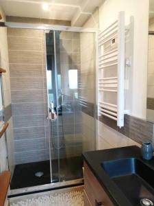 La salle de bains est pourvue d'une douche et d'un lavabo. dans l'établissement Appartement ZEN ET COSY, à Estrablin
