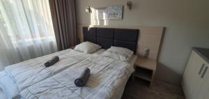 Fotografie z fotogalerie ubytování Hanka 10 - Dominikana Family Resort v destinaci Sianożęty