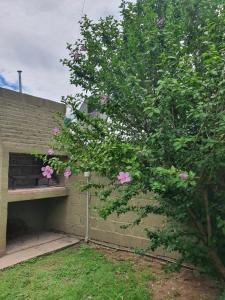 a tree with pink flowers next to a brick building at Casa Colibrí in San Carlos de Bolívar