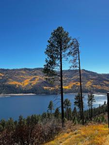 a view of a lake with trees and hills at Bear Paw Lodge in Vallecito