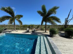 a swimming pool with two palm trees in the background at Salt Apartments Bonaire in Kralendijk