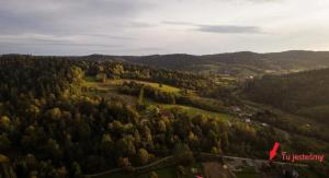 an aerial view of a forest of trees at Bieszczadzkie Ukojenie in Ropienka