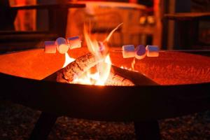 Φωτογραφία από το άλμπουμ του Dalriada Den - Luxury GeoDome σε Portpatrick