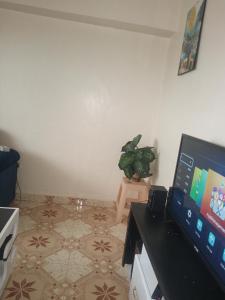 a living room with a flat screen tv and a plant at MT. KENYA PALACE in Nyeri