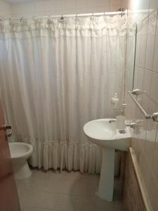 La salle de bains est pourvue d'un lavabo et d'un rideau de douche. dans l'établissement Monoambiente Osvaldo, à Neuquén