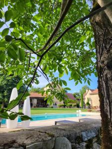 a view of a swimming pool through a tree at Le Mas de Laché in Caylus